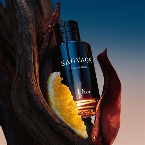 prix eau de parfum sauvage dior|dior sauvage the perfume shop.